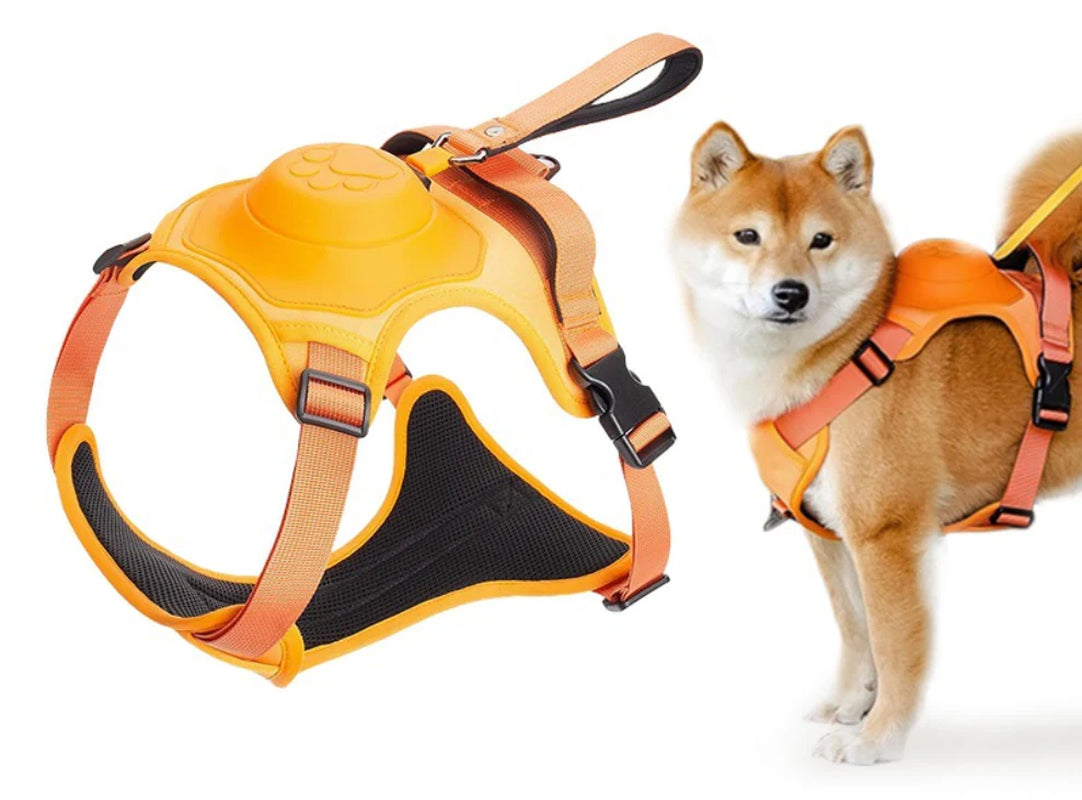 Superidag 2 in 1 Dog Harness with Retractable Cord