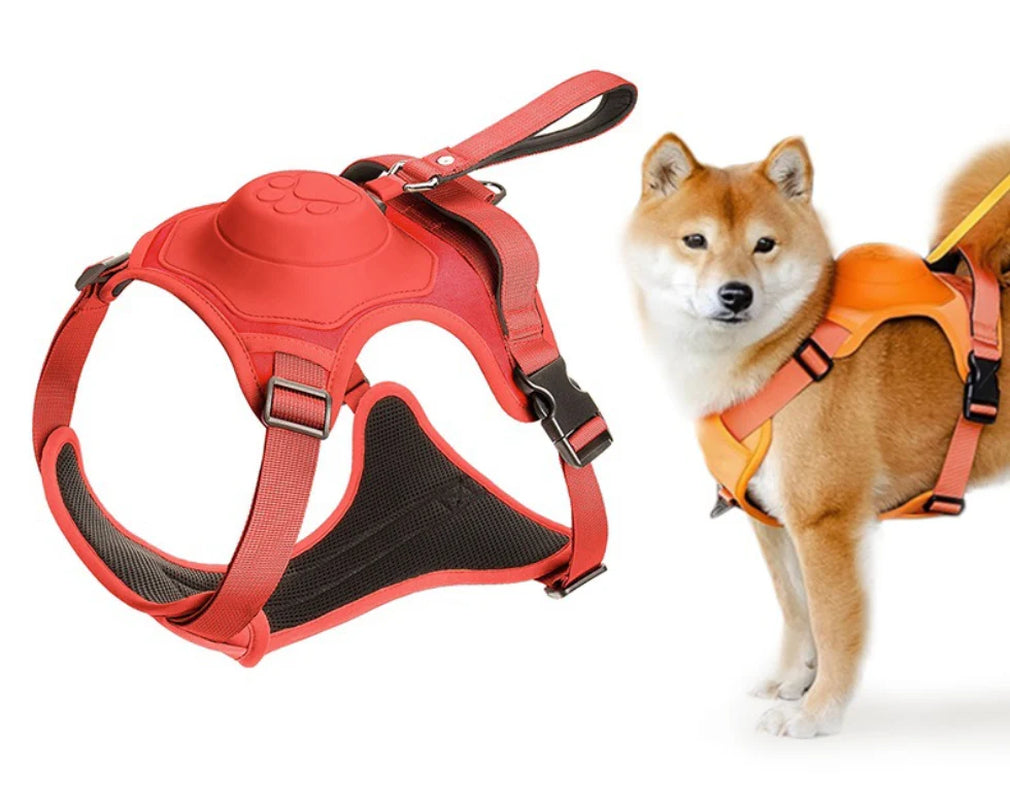 Superidag 2 in 1 Dog Harness with Retractable Cord