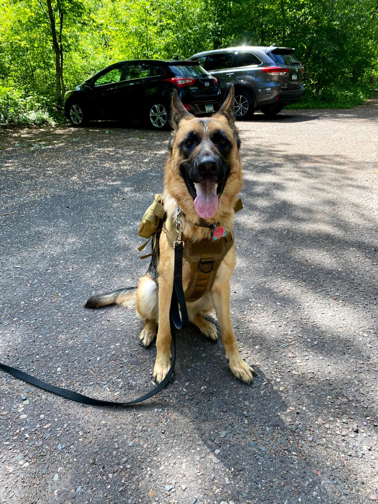 Tactical Dog Harness with 6 Metal Buckles for Large or Medium Dogs, Dog MOLLE Vest with Handle for Walking Training Hiking