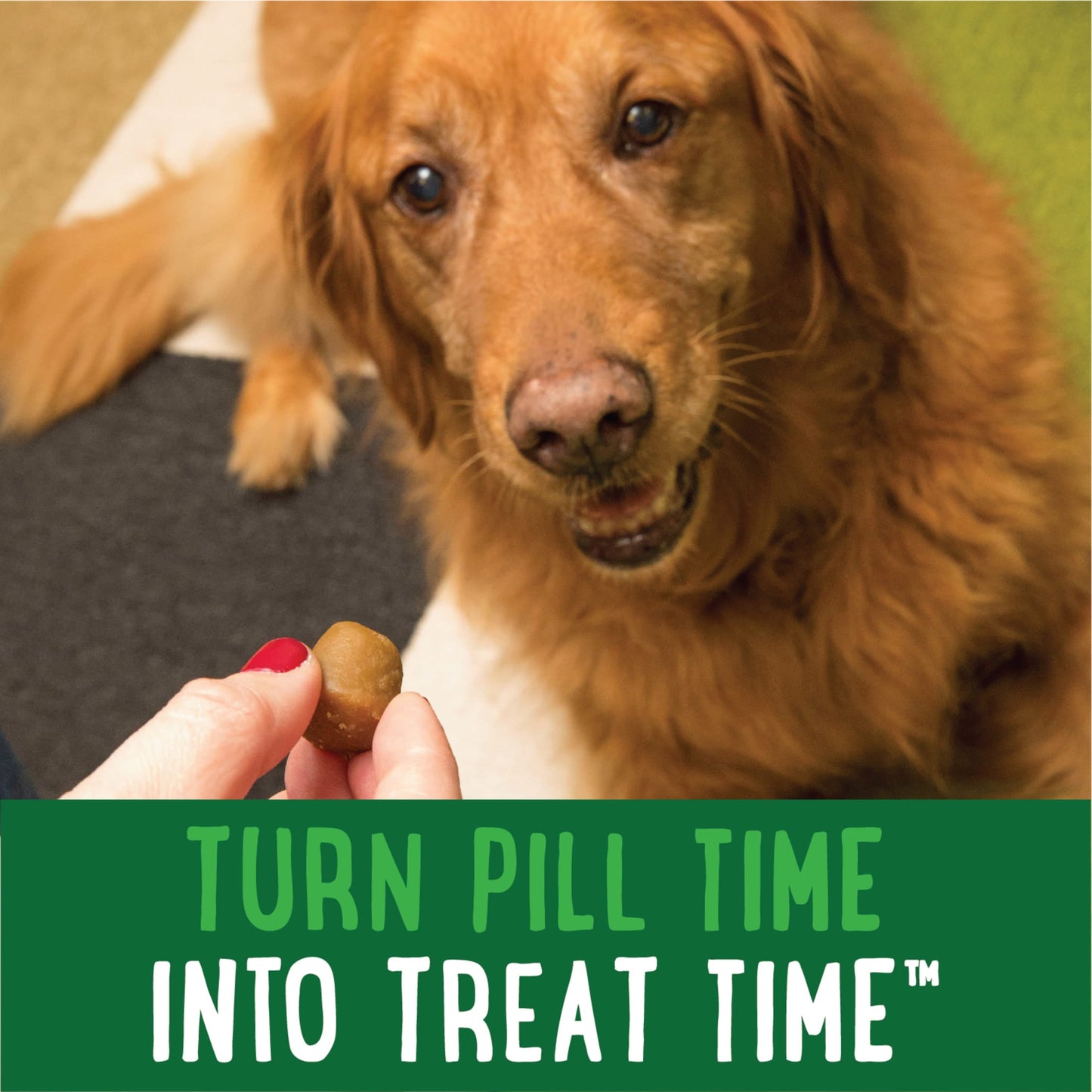 PILL POCKETS for Dogs Capsule Size Natural Soft Dog Treats, Chicken Flavor, 7.9 Oz. Pack (30 Treats)