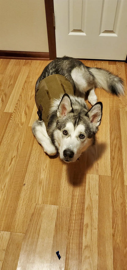 Tactical Dog Harness with 6 Metal Buckles for Large or Medium Dogs, Dog MOLLE Vest with Handle for Walking Training Hiking